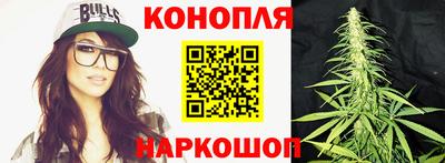 меф Кингисепп